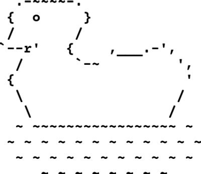 duck ascii art|duck text copy and paste.